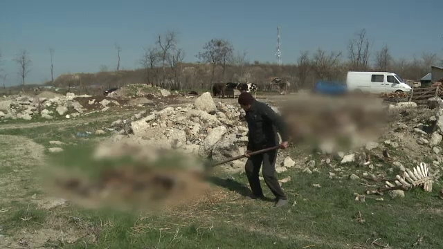 Descoperire macabra la marginea unei localitati din Buzau. Localnicii s-au ingrozit cand au vazut scenele