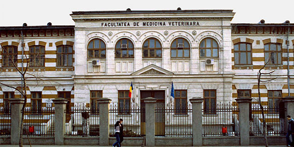 Incendiu puternic la crematoriul Facultatii de Medicina Veterniara din Capitala. Acoperisul cladirii a luat foc