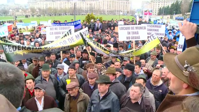 Sute de fermieri au protestat in fata Parlamentului si isi cer subventiile pe anul 2015. Reactia ministrului agriculturii