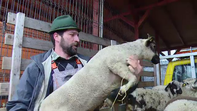 Miei pe alese, dar mai scumpi. Surprizele de care au parte catolicii si reformatii in Saptamana Patimilor