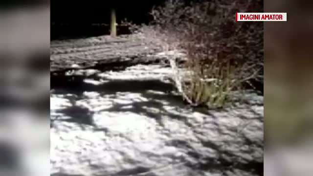 Ninsorile de la munte au dat batai de cap soferilor. Un grup de pelerini a ramas blocat la o manastire din Valcea