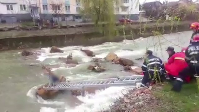 S-a dus in rau dupa minge, dar era la un pas de inec. Cum a fost salvat un baietel de 11 ani din Baia Mare