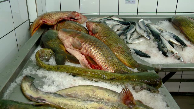 Buna Vestire. Cat a ajuns sa coste un kilogram de crap. "Scump, altadata era mancarea saracului, ca si fasolea"