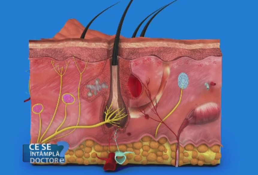 Dupa 40 de ani, parul femeilor poate fi afectat de jocurile dintre hormoni. Remedii pentru alopecia difuza