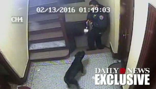 Momentul in care un politist impusca mortal cainele unei familii. Ce l-a facut pe agent sa traga. VIDEO