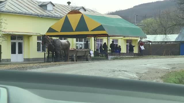 RTI violenta domestica