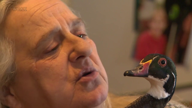 Prietenia dintre un ratoi salbatic, un caine si o familie din America. De ce vor autoritatile sa-i desparta