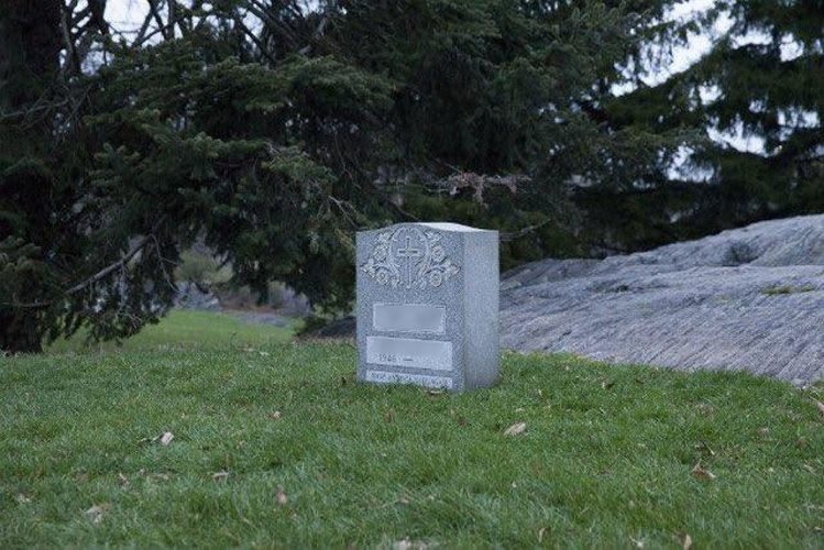 Mormantul care a aparut peste noapte in Central Park din New York. Ce au vazut oamenii cand au mers mai aproape