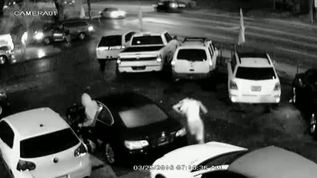 Opt masini furate din sediul unui dealer auto, intr-o singura seara. Ce au surprins camerele de supraveghere