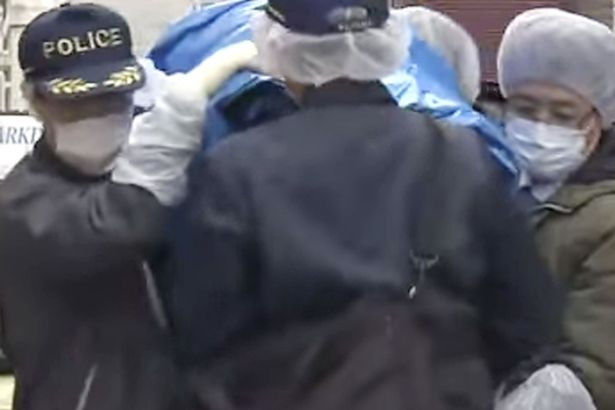 curiozitati, rapiri, sinucidere