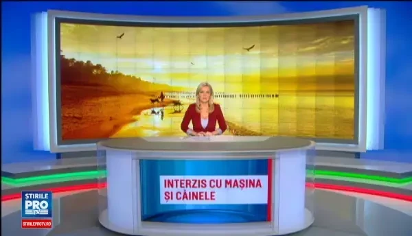 Amenda uriasa pe care o riscati daca mergeti cu cainele pe plajele din Romania. Iubitorii de animale sunt revoltati