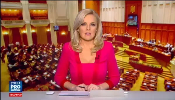 Sebastian Ghita si-a convins colegii din Comisia Juridica cu filmuletul sau. Aviz pentru retinere, insa nu si pentru arestare