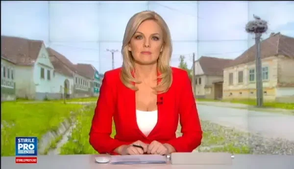 Tehnologia a ajuns si in cuiburile berzelor din Mures. Ce au descoperit specialistii dupa ce au montat mai multe camere web