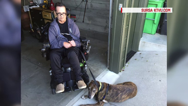 Alerta de securitate la o banca din SUA, declansata din cauza unui catel. Totul a pornit de la numele animalului de companie