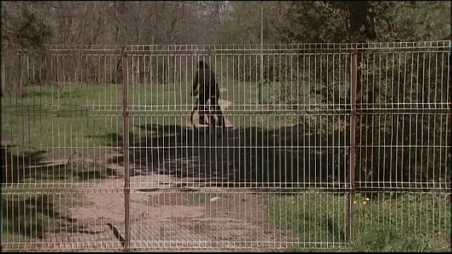 Situatia tragicomica din parcul Herastrau. Motivul pentru care un gard ridicat peste noapte a fost dat jos de primar