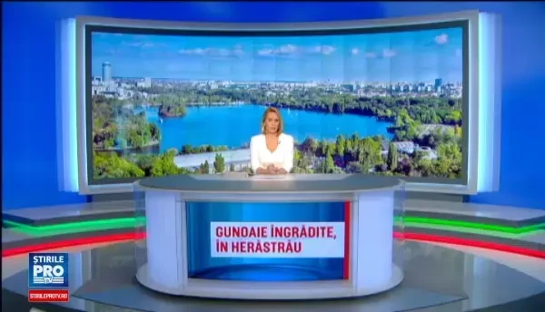 Situatia tragicomica din parcul Herastrau. Motivul pentru care un gard ridicat peste noapte a fost dat jos de primar