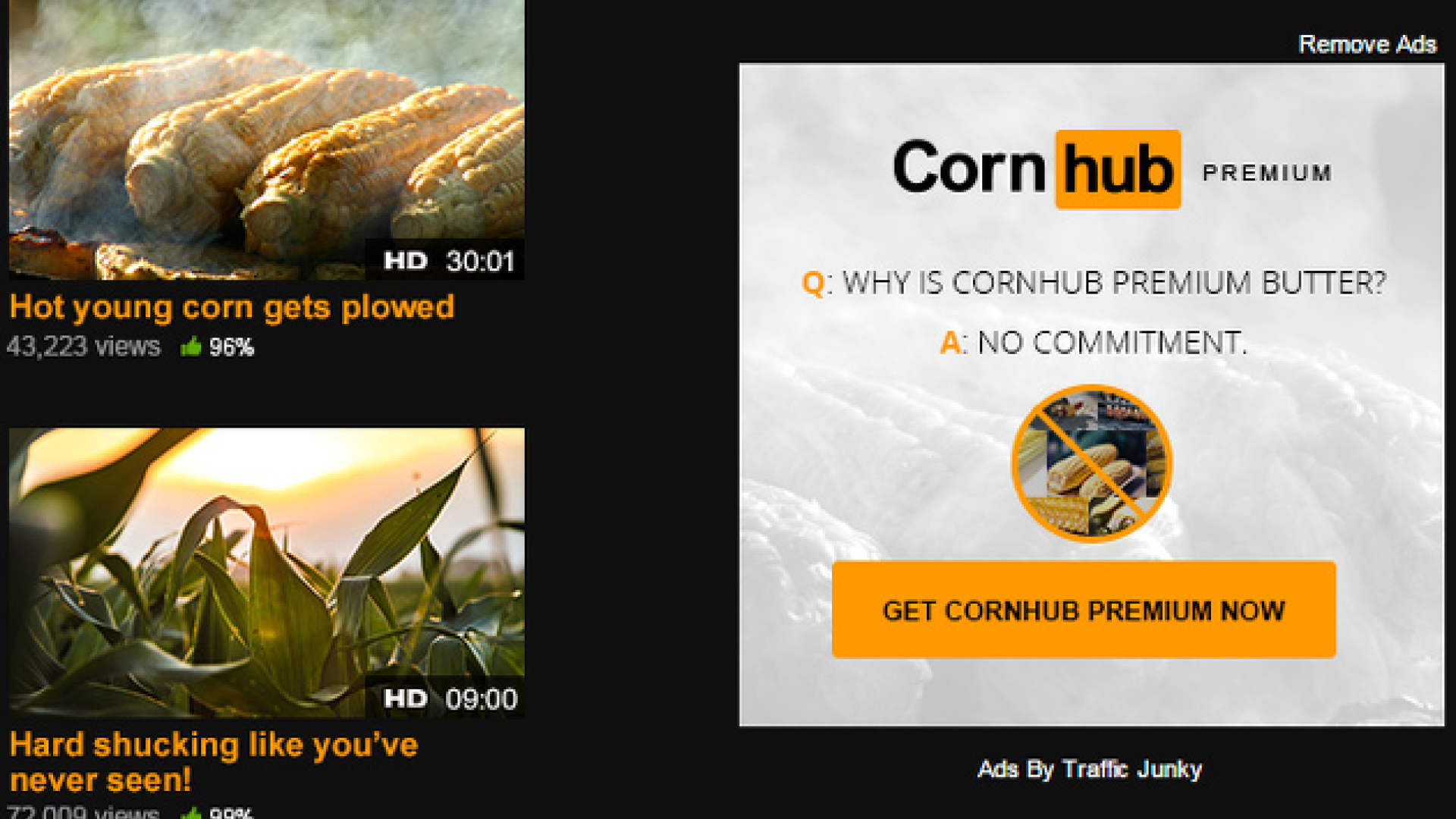 Ce s-a intamplat cu cel mai cunoscut site XXX de 1 aprilie. Farsa geniala :)