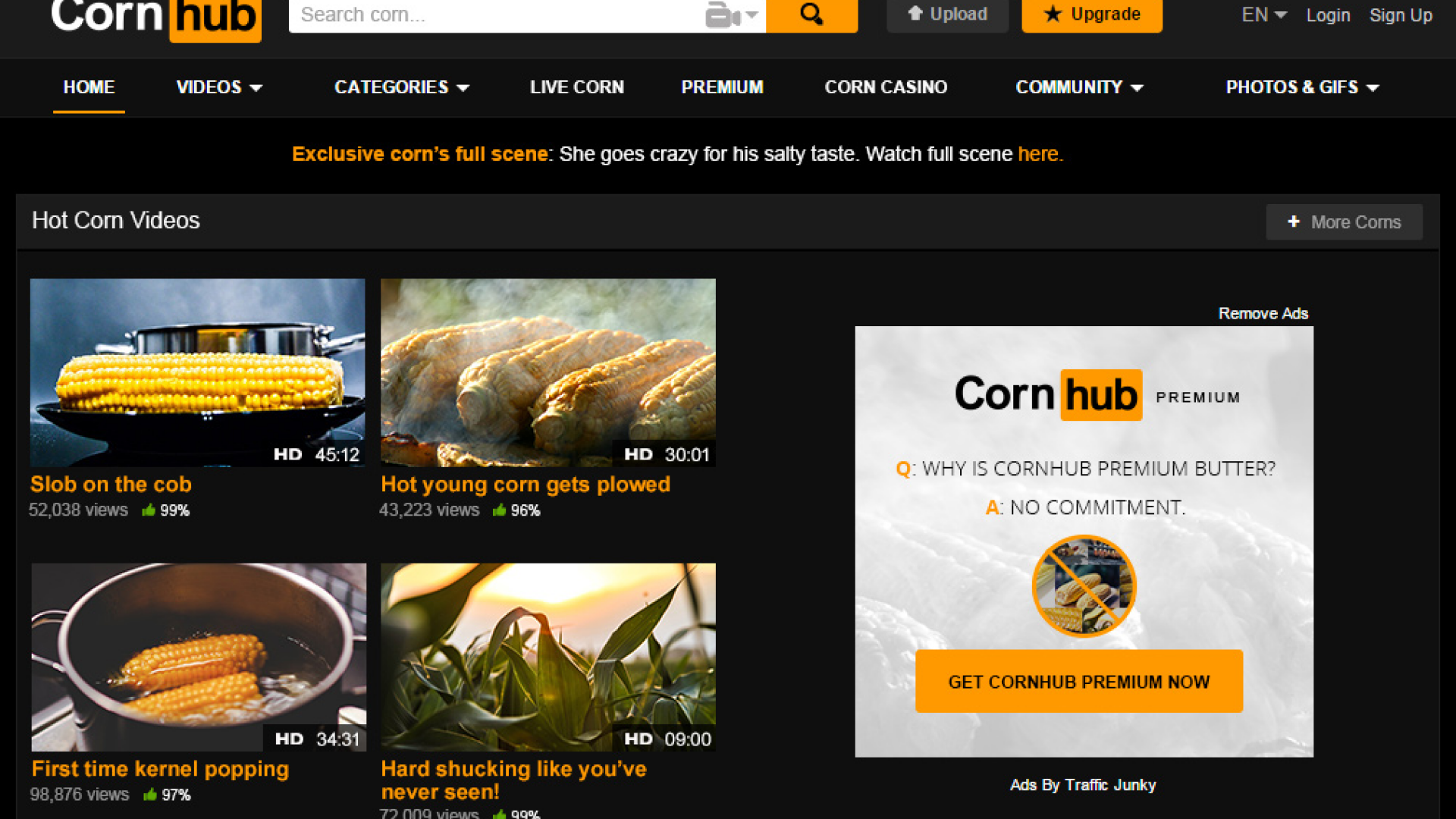 Ce s-a intamplat cu cel mai cunoscut site XXX de 1 aprilie. Farsa geniala :)