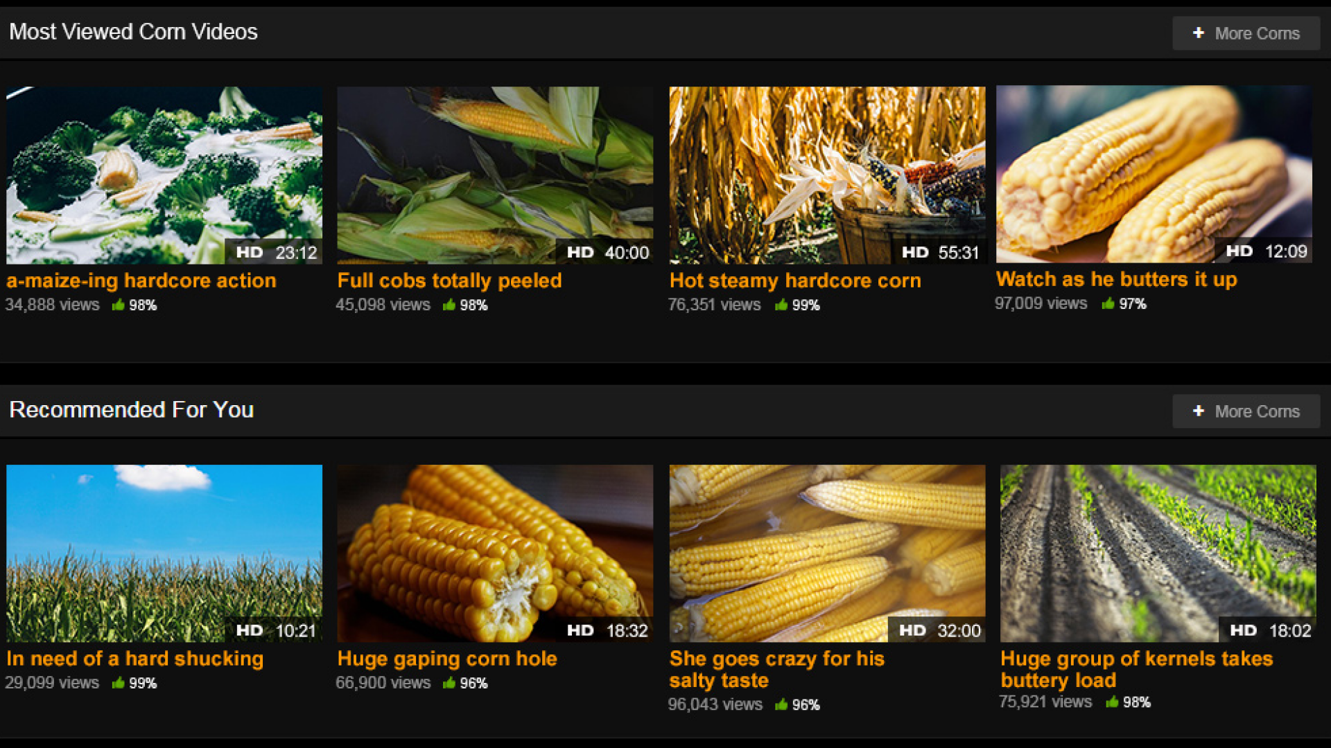 Ce s-a intamplat cu cel mai cunoscut site XXX de 1 aprilie. Farsa geniala :)