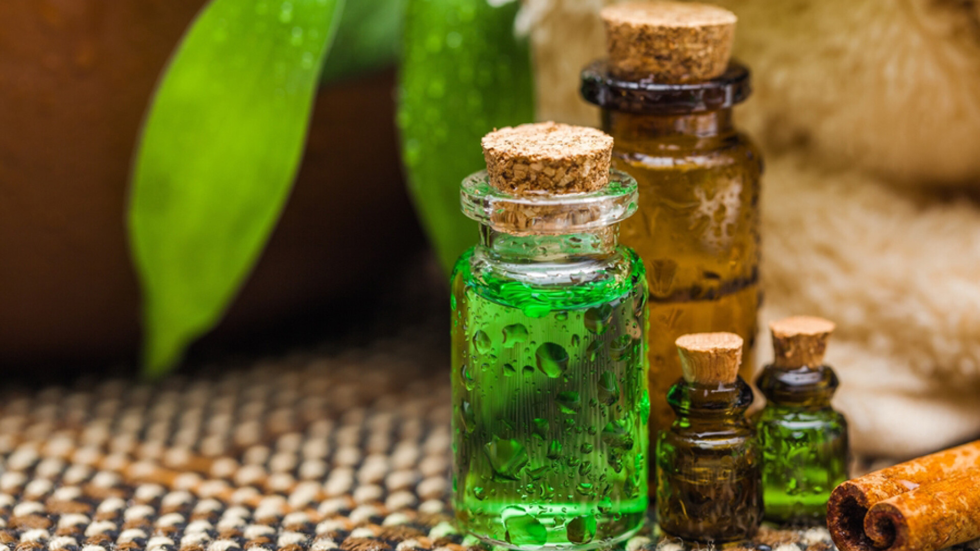 Cat de puternic este uleiul de cuisoare si arbore de ceai impotriva bacteriilor. Antibioticele nu sunt suficiente