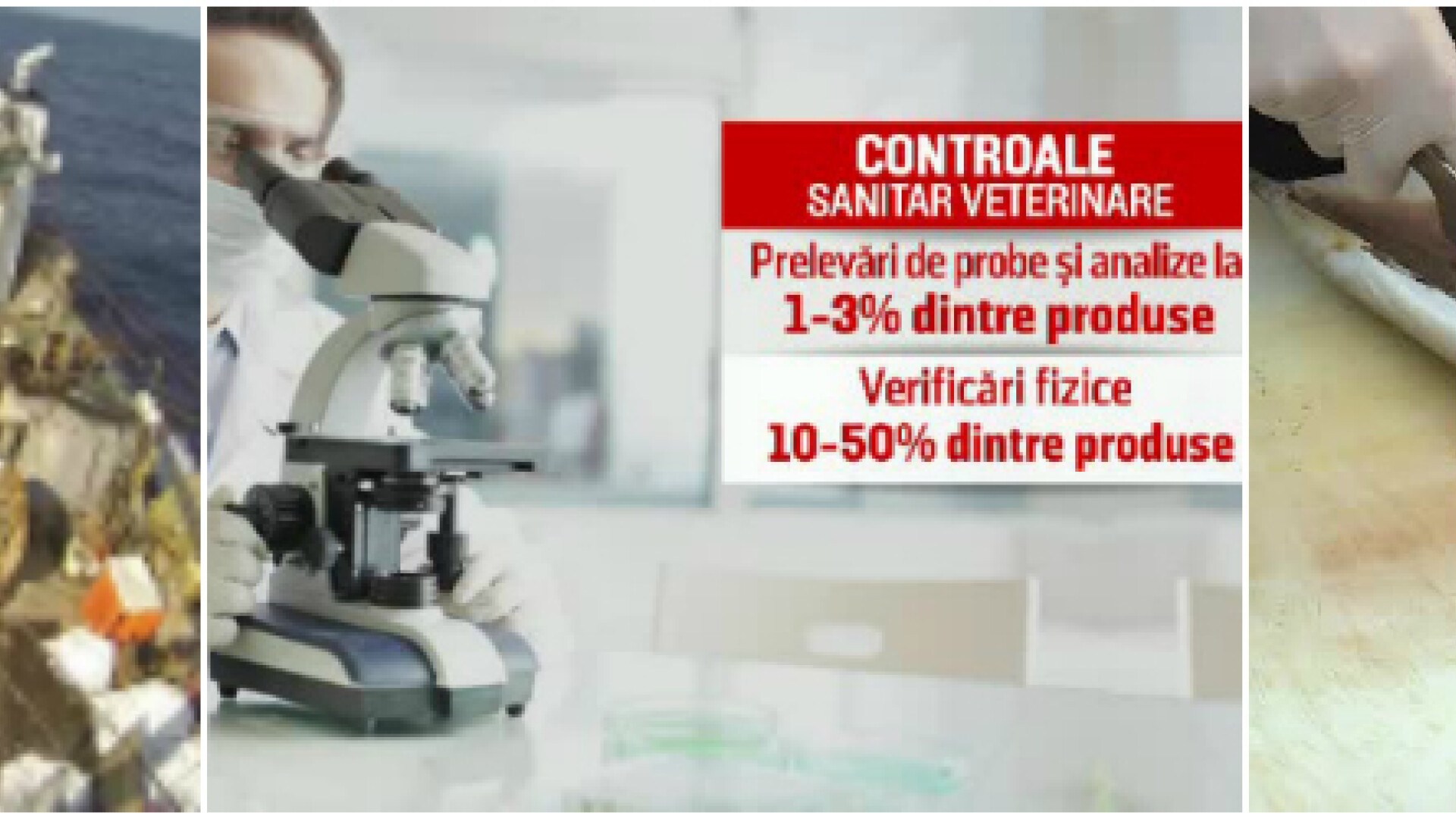 Cate din alimentele aduse in tara sunt verificate. Ce spun importatorii dupa ce au fost acuzati ca spala mezelurile cu otet