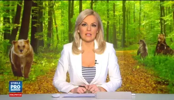 Masa si Grisa, cei doi ursi salvati de la moarte, au ajuns in rezervatia din Zarnesti. Cat cantareau cand au fost gasiti