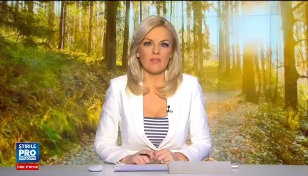 Seva de mesteacan, licoarea plina de vitamine si minerale, colectata direct din tulpina. Beneficiile sale pentru organism