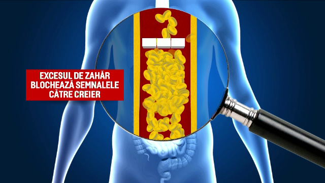 "Scoate zaharul din mancare, n-are niciun gust, nu vand nimic". Cum a ajuns industria sa ne otraveasca cu buna stiinta