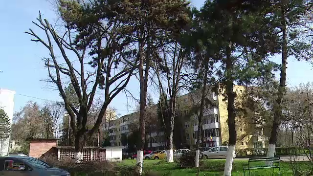 Imagini dezolante in cartierele din Targu Mures. Solutia la care au apelat localnicii terorizati de ciori