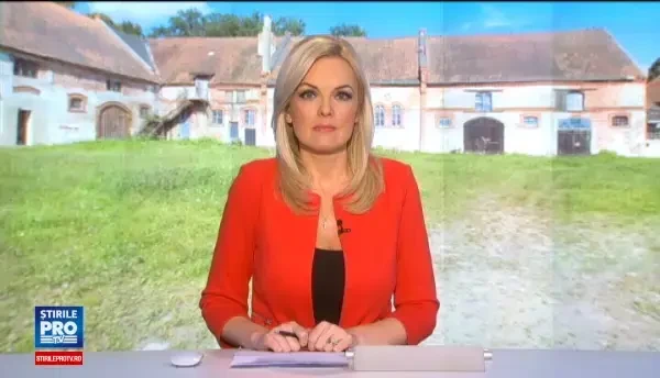 Umilintele prin care trec romanii plecati sa lucreze in fermele din strainatate. Ce indura pentru 1000 de euro/luna