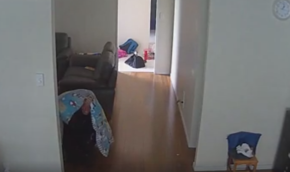 Metoda bizara folosita de acest hot pentru a nu fi "vazut" de camerele video. Politia il cauta acum peste tot. VIDEO