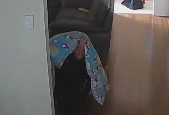 A intrat in locuinta unei familii pentru a fura si s-a ascuns sub plapuma copiilor. Care a fost ghinionul sau