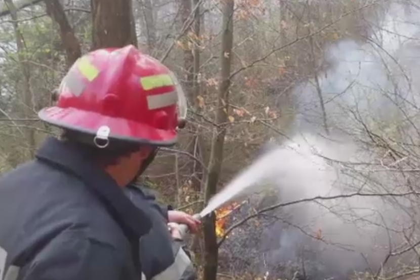 Incendiu urias intr-o padure din Covasna. De la ce ar fi pornit focul care a mistuit doua hectare de codru