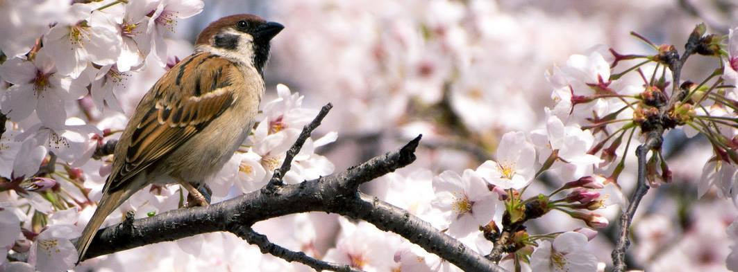 We Like Weekends. Cum poti sa-ti petreci timpul liber in perioada 8 - 10 aprilie 2016 - 6