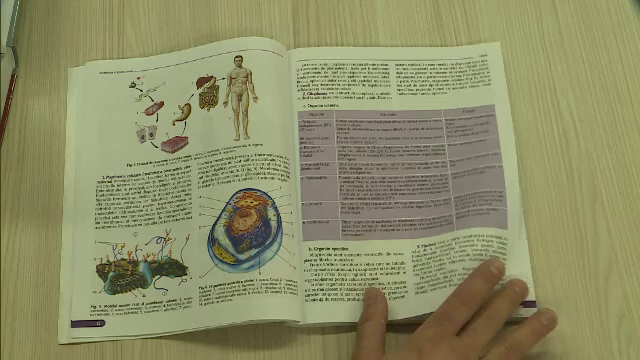 Un deputat cere INCHISOAREA pentru profesorii care predau educatie sexuala. "Cine garanteaza ca nu au aplecare spre baietei?"