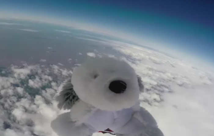 Catel de plus, trimis in stratosfera de elevii unei scoli primare din UK. Recompensa pentru cel care gaseste jucaria pierduta