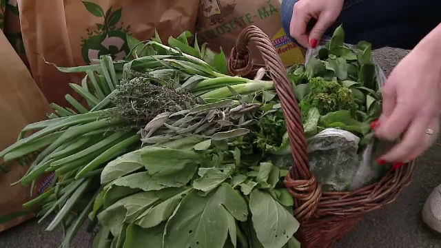 "Adopta un taran", initiativa prin care orasenii au pornit in cautarea gustului pierdut al legumelor si fructelor