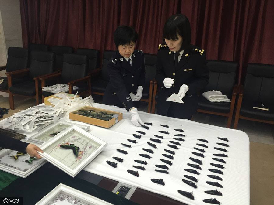 Ce au gasit vamesii chinezi intr-un bagaj de mana. Este cea mai mare captura de acest fel din ultimii 25 de ani