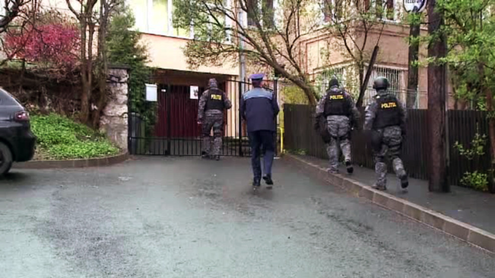 28 de caini scosi cu mandat din garsoniera unei femei din Brasov. "Sunt 20 de centimetri de fecale peste tot"