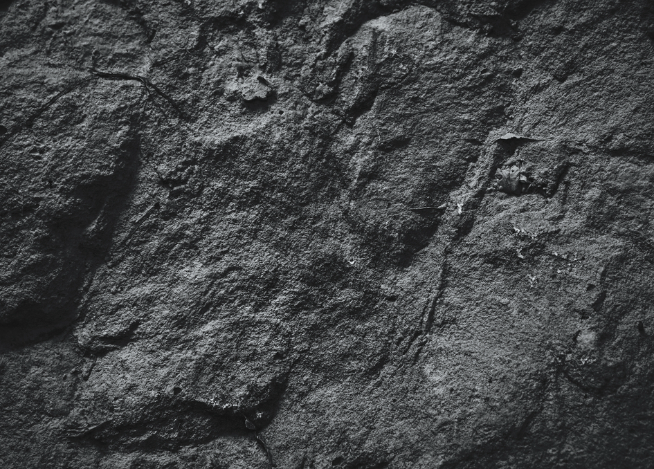 Descoperirea istorica facuta de "Indiana Jones de Bosnia", intr-o padure. Ce este sfera uriasa din piatra pe care a gasit-o