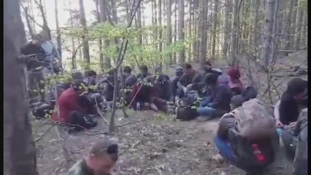 migranti
