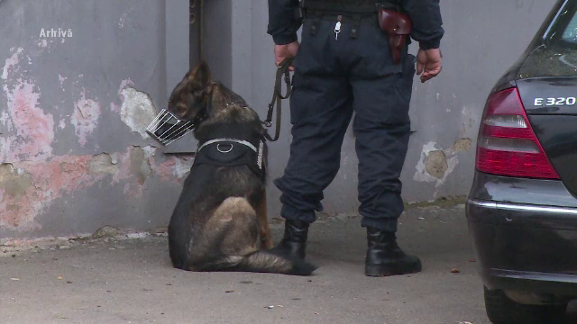 Descinderi in 8 judete, intr-un dosar privind afacerile cu fier vechi. Prejudiciul adus statului de mai multe firme fantoma