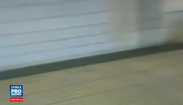 Incendiu la metroul din Capitala. Imagini din interior