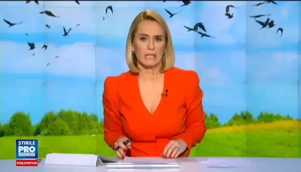 Timisoara vrea sa atraga turistii straini cu... ciorile. Propunerea stranie a Muzeului Banatului: Altii nu mai au deloc