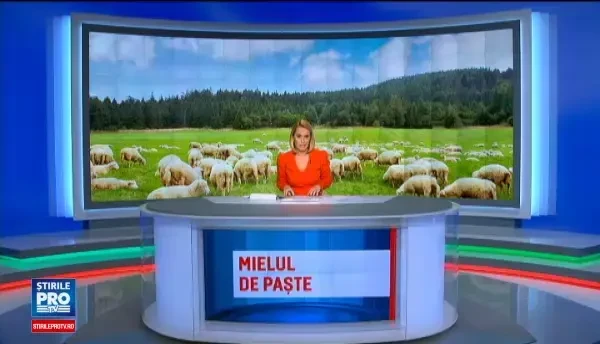 Rasele de miei romanesti recomandate de bucatari pentru masa de Paste. Cum se alege carnea pentru friptura