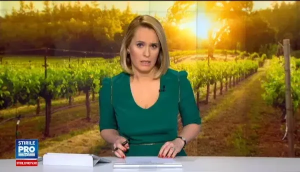 Viticultorii care produc vinuri nobile, stimulati cu subventii de la stat. Conditiile ce trebuie indeplinite pentru finantare