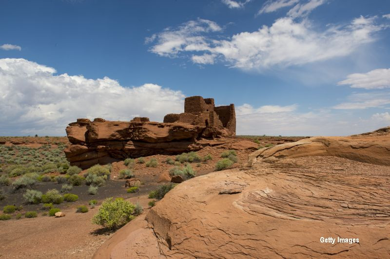 Cum a reusit aceasta batranica sa supravietuiasca noua zile in desert, fara apa. Ideea care a ajutat-o sa se salveze