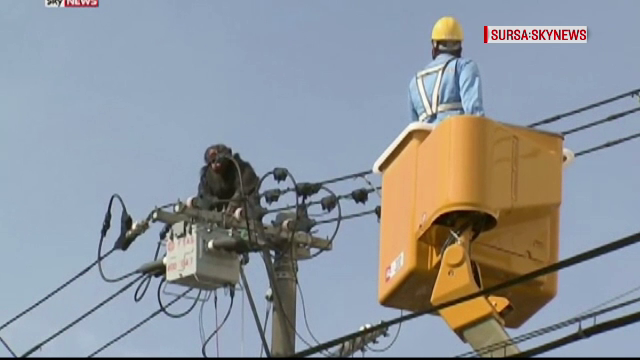 Mobilizare de forte in Japonia, dupa ce un cimpanzeu a evadat de la gradina zoologica. Unde l-au prins pe "fugar"