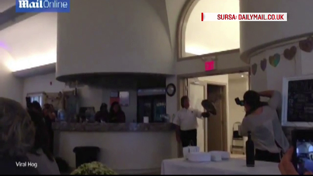 Ce a facut aceasta bufnita care era dresata sa duca verighetele mirilor, la o nunta din Statele Unite