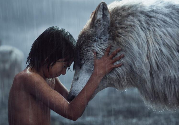 The Jungle Book - Povesti nemuritoare, editia Disney 2016